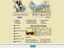 Tablet Screenshot of anident.pl
